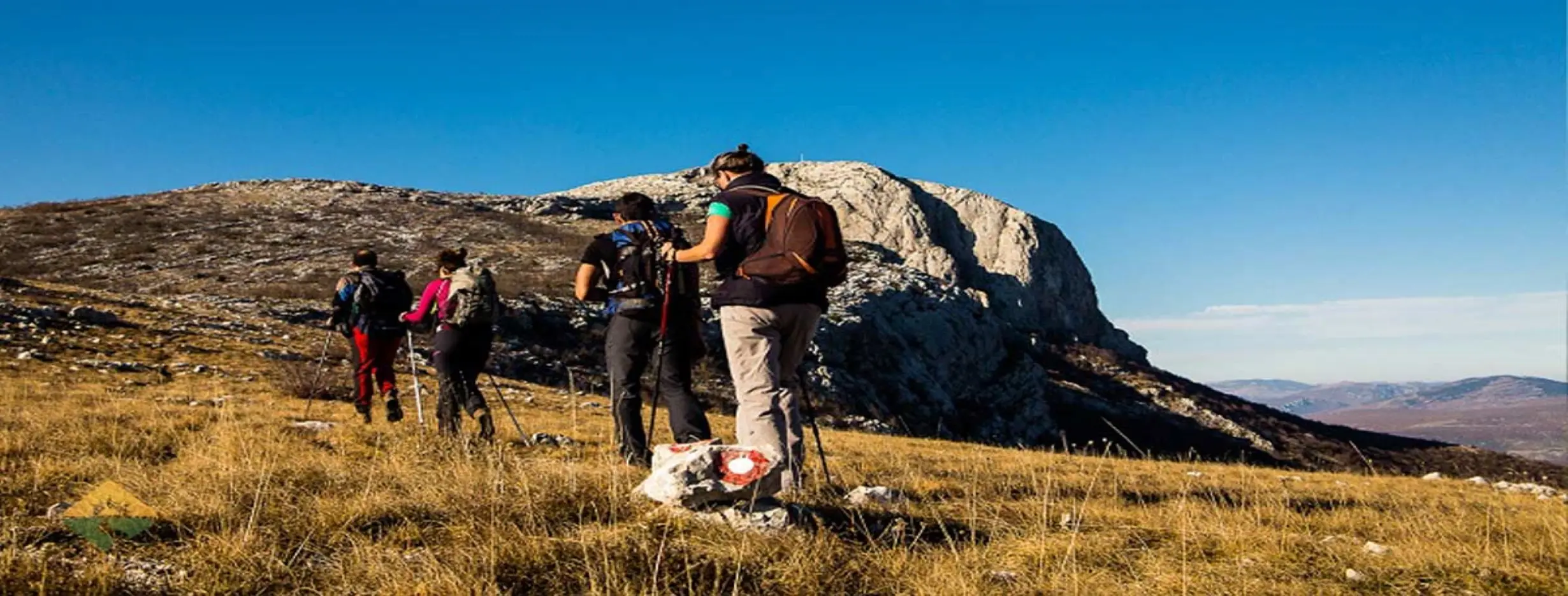 Image for Safari Hiking